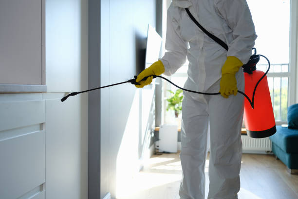 Professional Mold Remediation in Gower, MO